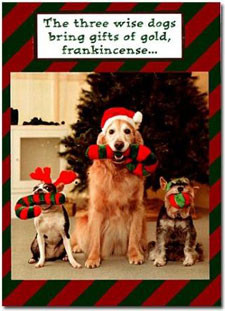 funny dogs christmas card the three wise dogs front of card shows a ...