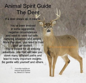 ... , Animal Totems, Animal Guide, Totems Animal, Deer, Native American