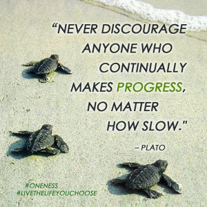 Never discourage anyone who continually makes progress, no matter how ...