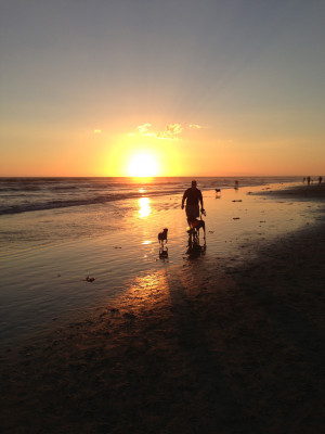 Image search: Nature Quotes In Huckleberry Finn