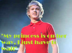 1D Challenge: Fave Niall Quote by SoonTitan