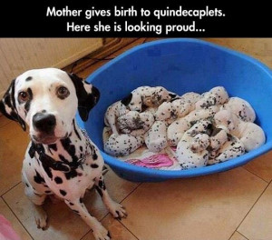 Proud Mom - Return to Funny Animal Pictures Home Page