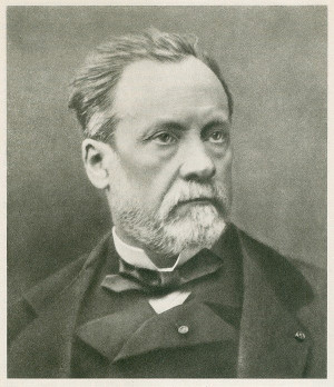 ... louis pasteur discoverer of pasteurization and vaccination louis
