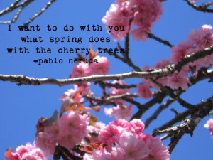 Cherry Blossom Photo with Pablo Neruda Quote