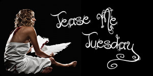 tease me tuesday is all about being tempted a quote from a past read ...