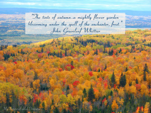 The best fall quotes. Love this one about the tints of autumn by John ...