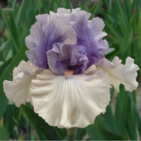 pontificate quotes follow in order of popularity. Be sure to ...