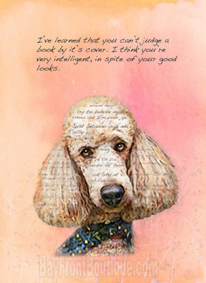 Poodle - Standard - Apricot Dog Art Print 8 x 10