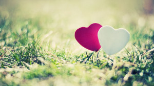 Valentine Hearts Love HD Wallpapers