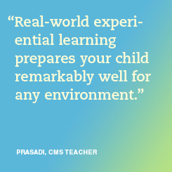 Elementary Curriculum: Independent Thinking, Intellectual Growth