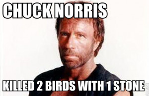 Here are the funniest Chuck Norris Jokes of the year Check out our ...