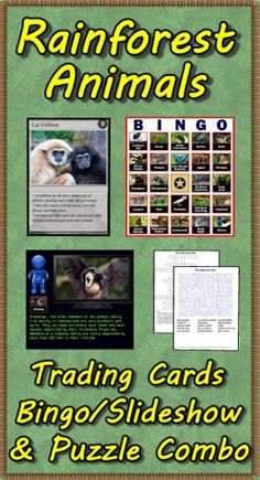 Combos Pack, Bingo Cards, Rainforests Animal, Crossword Puzzles, Bonus ...