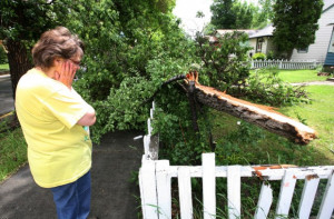 Magical Land Rubber Duckys 12 Pcs 124354 $599 Retro Toys Picture