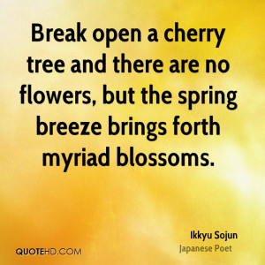 Break open a cherry tree and there are no flowers, but the spring ...