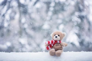 bear, car, cute, photography, snow, sow, teddy bear, teddybear, white ...