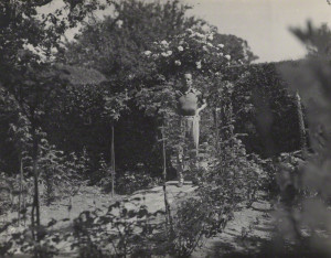 Beverley Nichols Pictures