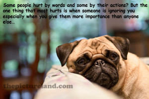 Sad But True Moments With Pictures Of Cute Dogs