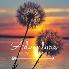 Retro Adventure Quote Inspirational Quote Typography Amelia Earhart ...