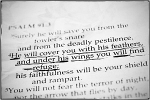 bible verses, Psalm 91-4
