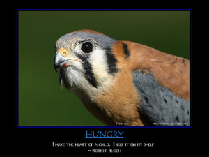 Ahh, yes, Robert Bloch . The writer who made it difficult for many ...