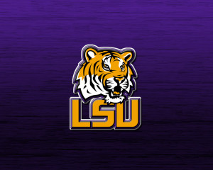 Need an LSU Design for my Cap One Credit Card