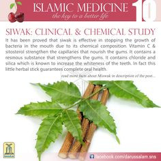 ... afflicts the mouth. Moreover, the nervous system that is connected to