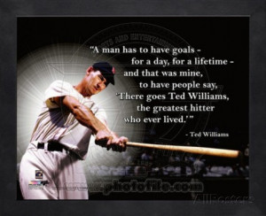 Ted Williams ProQuote Framed Memorabilia