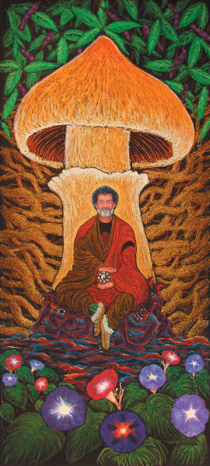Terrence Mckenna Quotes