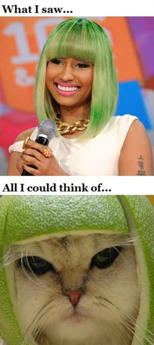 Funny Nicki Minaj (14 Pics)