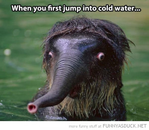 Jumping Into Cold Water The