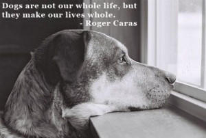 The Best Quotes About Dogs Focus On The Dog's Themselves - And ...