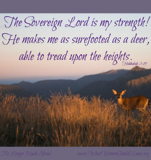 Leave a Reply Cancel reply