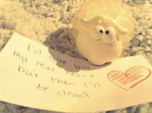cute, heart, love, quote, sheep, text