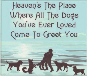 dogs+in+heaven.jpg