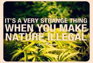 Legalize Marijuana Quote