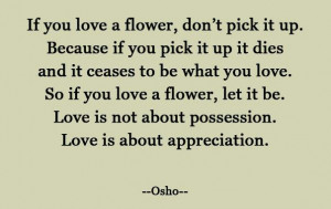 Appreciation-not-possession