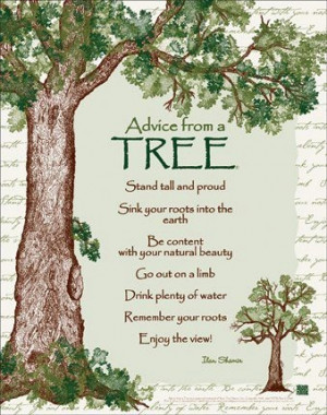 Good advice From a Tree http://media-cache-ec2.pinimg.com/originals/d7 ...