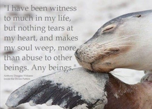 Uploaded to Pinterest