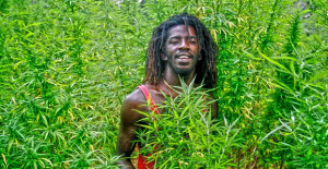 Bob Marley Drugs