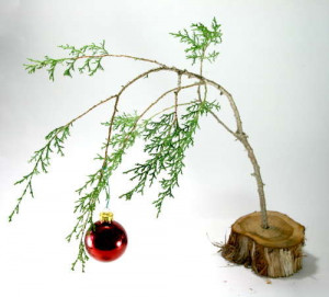 Go Back > Gallery For > Sad Christmas Tree