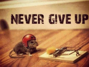 Download HERE >> Funny Short Motivational Quotes