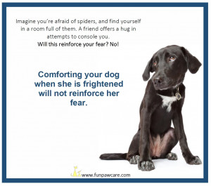 Methods to Manage Your Dog’s Fear