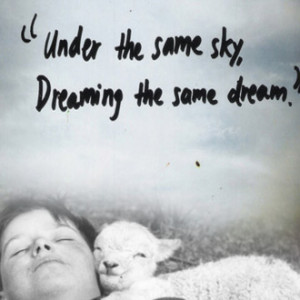 Under The Same Sky Dreaming The Same Dream