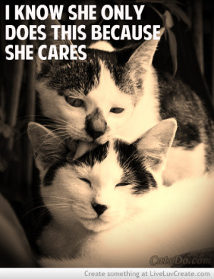 Cute Cats And Kittens With Quotes
