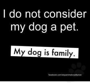 my dog is part of my family.