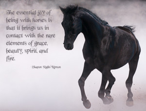 Black Stallion with quote.jpg