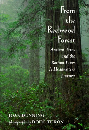 Redwood Tree Images with Quotes