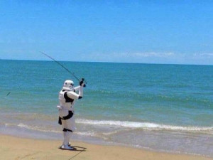 Everyone needs a break