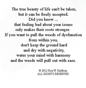 Posted on December 30, 2012 by Ron Rathbun