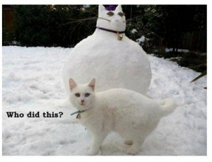 Clever snow photo.